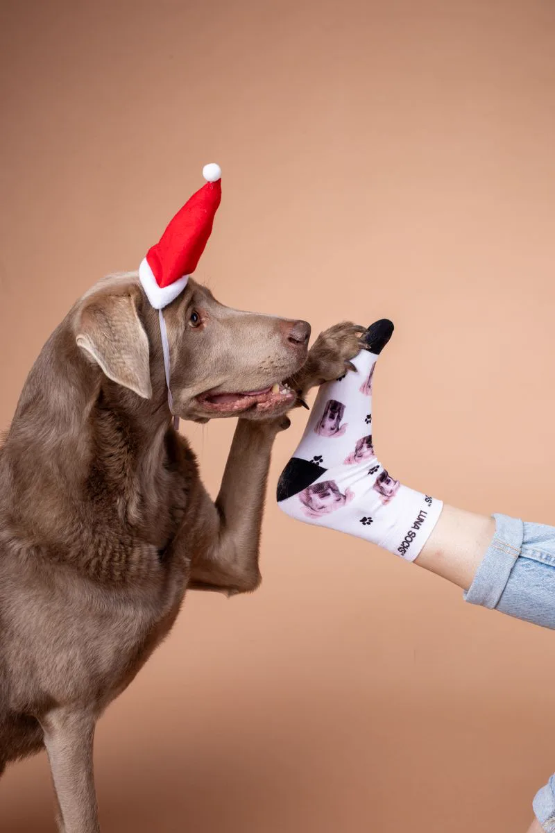 Cotton Socks